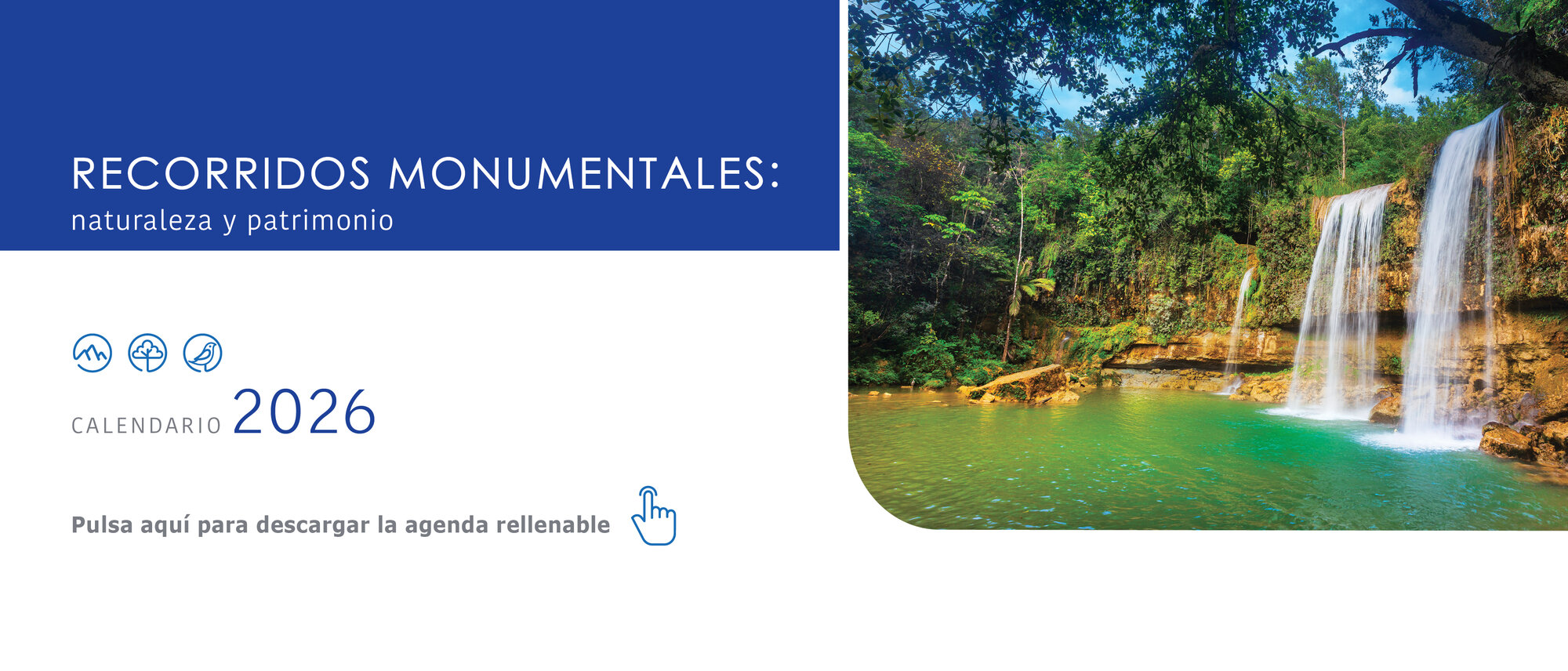 Imagen del slide 8